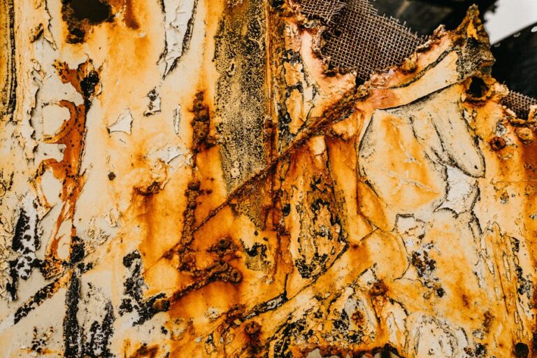 Photo by Jonathan Borba on Pexels